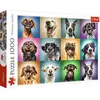 Image de Trefl Puzzle 1000 pc (1000 pièces)