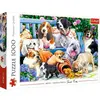Image de Trefl Hunde im Garten (1000 pièces)