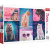 Image de Trefl Super chats (1000 pièces)