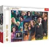 Image de Trefl Puzzle Harry Potter 1000 pièces (1000 pièces)