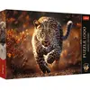 Image de Trefl Puzzle Premium Plus 1000 - Léopard sauvage (1000 pièces)
