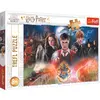 Image de Trefl Le mystérieux Harry Potter (300 pièces)