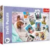 Image de Trefl Le puzzle se compose de 300 pièces et a été conçu pour tous les petits amateurs de puzzles. (300 pièces)