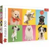 Image de Trefl Dogs (500 pièces)