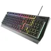 Image de Natec Clavier Gaming Genesis Rhod 300 Rgb Anglais