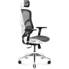Image de Diablo V-Basic, Chaise gaming, Blanc, Noir