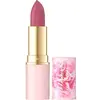Image de Eveline, Rouge à lèvres + gloss, Rouge à lèvres hydratant Flower Garden 02 (02)