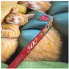 Image de Cherry Pazzi Puzzle Mehr als 500 Stück hier (500 pièces)