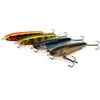 Image de Salmo Stickbait De Surface Sweeper Sinking 170 Mm