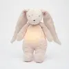 Image de Moonie L'ami bourdonnant 2.0 (28 cm)