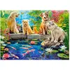 Image de Castorland Puzzle « Rybní ek avec des carpes koï »   120 pièces (120 pièces)
