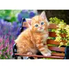 Image de Castorland Ginger Kitten, puzzle de 180 pièces (180 pièces)