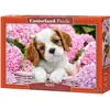 Image de Castorland Pup in pink flowers 500 pcs Jeu de puzzle 500 pièce(s) Fauna (500 pièces)