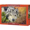 Image de Castorland Pure Soul 500 pcs Jeu de puzzle 500 pièce(s) Animaux (500 pièces)