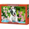 Image de Castorland Puzzle French Bulldog Puppy 500 pièces (500 pièces)