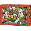 Image de Castorland Pets in the Park 1000 pcs Jeu de puzzle 1000 pièce(s) Animaux (1000 pièces)