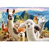 Image de Castorland Llamas Selfie (1000 pièces)