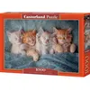 Image de Castorland The Sweetest Kittens Puzzle 1000 pièces (1000 pièces)