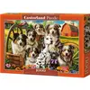 Image de Castorland Puzzle 1000 pieces Happy Dogs In The Countryside (1000 pièces)