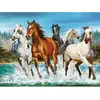 Image de Castorland Call of Nature Jigsaw puzzle 2000 pc(s) Animals (2000 pièces)