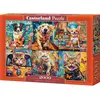 Image de Castorland Puzzle 2000 pieces Choose Your Pet (2000 pièces)
