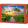 Image de Castorland Colorful Sunrise in Miami, USA Puzzle 3000 pièces (3000 pièces)