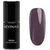 Image de NÉONAIL UV Nagellack Gel Nagellak