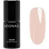 Image de Neonail, Vernis à ongles, Couleur (Toile vierge, Vernis gel UV)