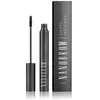 Image de NANOBROW Shape Mascara Mascara