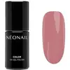 Image de Neonail, Vernis à ongles, Nonail UV Nail Polish 72ml Frozen Roses (Frozen Roses, Vernis gel UV)