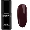 Image de Neonail, Vernis à ongles, Nonail (Violet, Vernis semi-permanent)