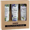 Image de Anwen, Après-shampoing, Conditionneurs pour cheveux à porosité moyenne Protéine Orchid 100Ml + Emollient Iris 100Ml + (300 ml)