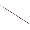 Image de Carp Expert Canne Bolognaise Evolution Power
