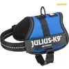 Image de Julius-K9 Harnais Power pour petits chiens ergonomique (S, XS, Chien, Sport canin), Collier + laisse