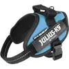 Image de Julius-K9 K9 Idc Powerges Mini Mini Aqua (XS, Chien, Général), Collier + laisse