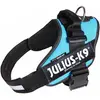 Image de Julius-K9 IDC-Powergeschirr aquamarine Taille Mini : Tour de poitrine (Chien), Collier + laisse