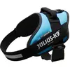 Image de Julius-K9 IDC-Powergeschirr aquamarine Taille 1 : Tour de poitrine 63-85 cm (1, Chien, Sport canin), Collier + laisse