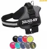 Image de Trixie K9Powergeschirr (harnais de puissance) (0, L, M, Chien), Collier + laisse