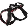 Image de Julius-K9 K9 Speed harness, Size : S, red (S, Chien, Général, Sport canin), Collier + laisse