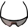 Image de Leatt, Unisexe, Lunettes de sport, SpeedViz Pro Iriz Fahrradbrille (satin noir-argent, Argent), Noir, Argent