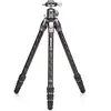 Image de Benro TTOR14CGX25 Kit tortue (Carbone), Trépied, Noir