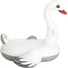 Image de Bestway Swan Rider