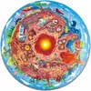 Image de Hape Puzzle Sous la terre (36 pièces)