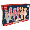 Image de Hape Corps humain (Anglais, 3 - 6 Années)