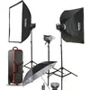 Image de Godox MS200-D - Studio flash kit (3xMS200 & accessories) (Set, 200 Ws), Flash studio, Noir