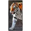 Image de ZTE Smartphone Nubia Redmagic 8S Pro 5G 12/256GB Platynowy (256 Go, Platine, 6.80", Double SIM, 5G), Téléphone portable, Argent