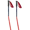 Image de Swix Bâtons World Cup Pro Donwhill