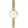 Image de Daniel Wellington, Montre, Petite Mini Evergold, Or, (Horloge analogique, 19 mm)
