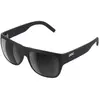 Image de Poc Lunettes De Soleil Polarisées Want
