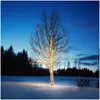Image de Csdk SL, Guirlande lumineuse, CHRISSLINE 50L Original Extra (5 m)